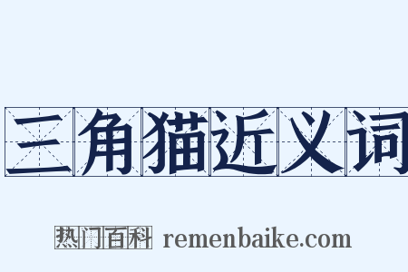 三角猫近义词是什么意思的图片